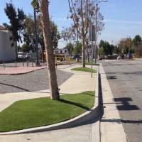 Artificial Grass Fairfax, California Gardeners, Commercial Landscape