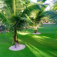 Artificial Grass Folsom, California Gardeners, Commercial Landscape