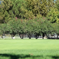 Artificial Grass Installation Thermalito, California Landscape Design