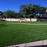 Artificial Lawn Buena Vista, California Landscaping Business, Front Yard Landscape Ideas