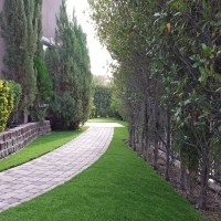 Artificial Lawn Empire, California Roof Top, Front Yard Landscape Ideas