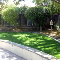 Artificial Lawn Kensington, California City Landscape, Commercial Landscape