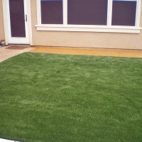 Artificial Lawn Yountville, California Design Ideas, Backyard Landscape Ideas