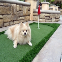 Artificial Turf Cost Bret Harte, California Landscape Rock, Backyard Landscaping Ideas