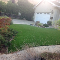 Artificial Turf Cost Clayton, California Design Ideas, Landscaping Ideas For Front Yard