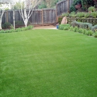 Artificial Turf Cost Keyes, California Gardeners, Backyard Makeover