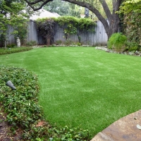 Artificial Turf Cost Ripon, California Landscape Rock, Backyard Design