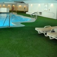 Artificial Turf North Fair Oaks, California Landscape Ideas, Kids Swimming Pools