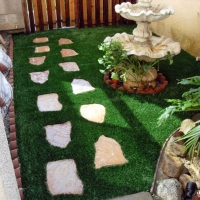 Artificial Turf Ripon, California City Landscape, Backyard Ideas