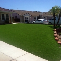 Best Artificial Grass Bodega Bay, California Design Ideas, Front Yard Landscaping Ideas