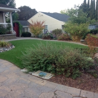 Best Artificial Grass Pinole, California Design Ideas, Front Yard Ideas