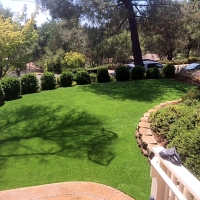 Fake Grass Hercules, California Garden Ideas, Backyard