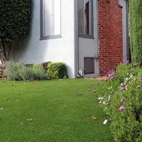 Fake Grass Hilmar-Irwin, California Backyard Playground, Front Yard Ideas