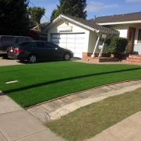 Fake Lawn Parlier, California Design Ideas, Front Yard Landscaping