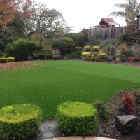 Fake Lawn Rollingwood, California Landscape Design, Backyard Design