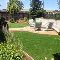 Fake Lawn San Ramon, California Landscaping Business, Backyard Landscaping