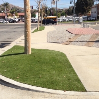 Fake Turf Daly City, California City Landscape, Commercial Landscape