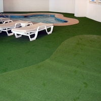 Faux Grass Avenal, California Backyard Playground, Swimming Pool Designs