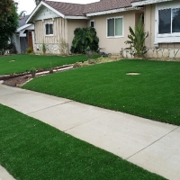 Faux Grass Colfax, California Lawns, Front Yard Landscape Ideas