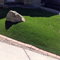 Faux Grass Quincy, California Garden Ideas