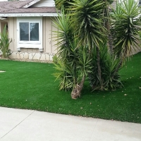 Grass Carpet Chowchilla, California Landscaping, Front Yard Landscaping Ideas