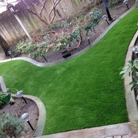 Grass Carpet Modesto, California Garden Ideas, Backyard Landscaping