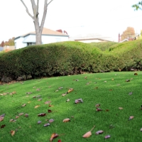 Grass Carpet Napa, California Landscape Rock, Front Yard Landscaping Ideas