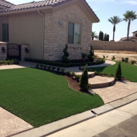 Grass Carpet Santa Clara, California Landscape Photos, Front Yard Landscaping Ideas