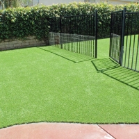 Grass Installation Laguna, California Cat Grass, Front Yard Landscape Ideas