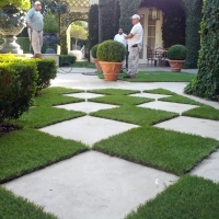 Grass Turf Lucas Valley-Marinwood, California Design Ideas, Pavers