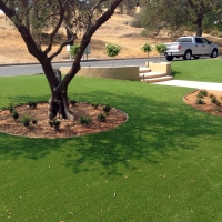 Grass Turf Sutter Creek, California Lawn And Garden, Front Yard Landscape Ideas