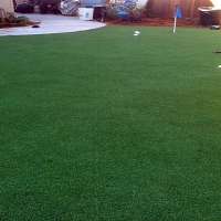 Green Lawn Foster City, California Landscape Design, Backyard Landscape Ideas