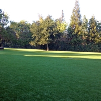 Green Lawn Santa Rosa, California Lawn And Landscape, Parks