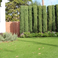 Green Lawn Sebastopol, California Lawn And Landscape, Front Yard Design