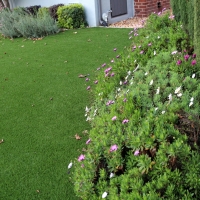 Green Lawn Winters, California Home And Garden, Small Front Yard Landscaping