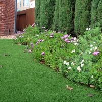 How To Install Artificial Grass Forestville, California Landscaping, Front Yard Landscaping