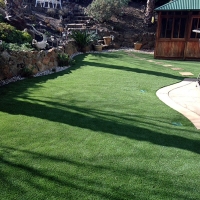 Installing Artificial Grass Linden, California Roof Top, Backyard Designs