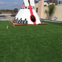 Outdoor Carpet Lafayette, California Garden Ideas, Patio