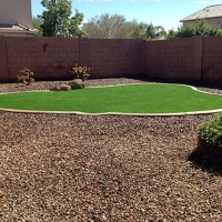 Outdoor Carpet Lincoln Village, California Landscape Ideas, Backyard Design