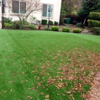 Outdoor Carpet Redwood Shores, California City Landscape, Beautiful Backyards