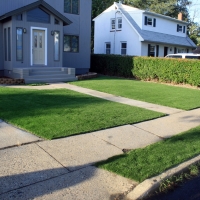 Outdoor Carpet Tamalpais-Homestead Valley, California Backyard Playground, Front Yard Landscape Ideas