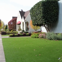 Outdoor Carpet Tracy, California Home And Garden, Front Yard Landscaping Ideas