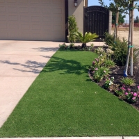 Plastic Grass Citrus Heights, California Landscape Photos, Front Yard Landscape Ideas