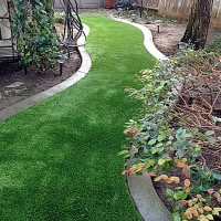 Plastic Grass Riverdale Park, California Landscape Rock, Backyard Designs