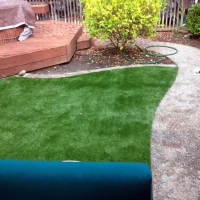 Plastic Grass Santa Clara, California Lawn And Garden, Backyard Garden Ideas