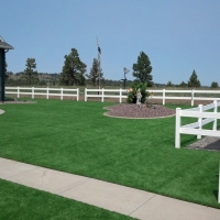 Synthetic Grass Arbuckle, California Paver Patio, Backyard