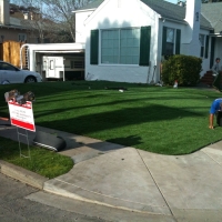 Synthetic Grass Cost Berkeley, California Backyard Playground, Front Yard