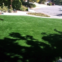 Synthetic Grass Cost Orinda, California Rooftop, Front Yard