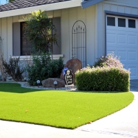 Synthetic Grass Hamilton City, California Garden Ideas, Front Yard Landscaping Ideas