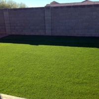 Synthetic Grass Walnut Grove, California Lawn And Garden, Backyard Designs